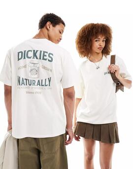 Camiseta Dickies Elliston Tee Cloud